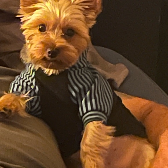 Meet your Posher, Myndee - Picture 6 of 6